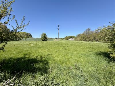 Picture 31